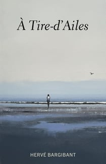 À tire-d'ailes
