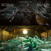 Retinal Rivalry - Picture Disc
