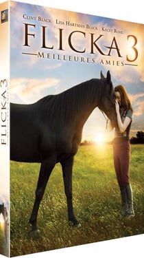 Flicka 3 : Meilleures amies