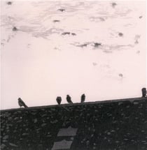 Arrythmia