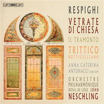 Vetrate di chiesa (church windows), etc.