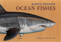 Ocean fishes - paintings of saltwater fish