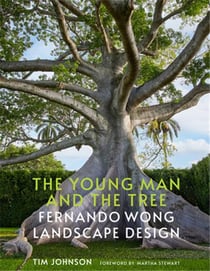 The young man and the tree : Fernando Wong landscape design