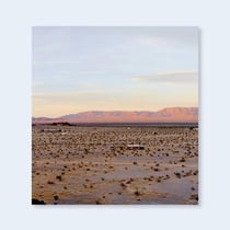 John Divola : Isolated houses