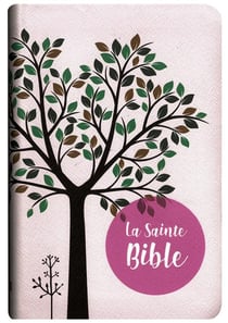 La Bible - rose - segond 1910