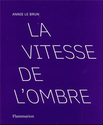 La vitesse de l'ombre