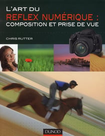 L'art du reflex numérique - composition et prise de vue
