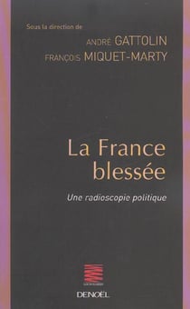 La france blessee - une radioscopie politique