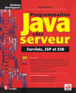 Programmation java cote serveur servlets jsp et ejb