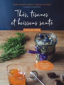 Thés - tisanes et boissons santé à faire soi-même - pour offrir ou se faire plaisir