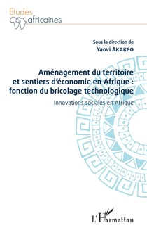 Aménagement du territoire et sentiers d'économie en afrique : fonction du bricolage technologique - innovations sociales en Afrique