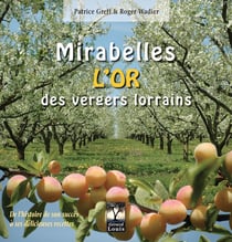 Mirabelles, l'or des vergers lorrains - de l'histoire de son succès à ses délicieuses recettes