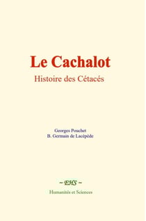 Le Cachalot : Histoire des Cétacés