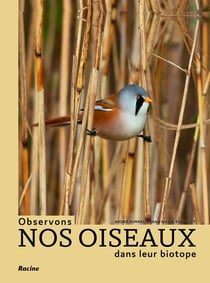 Observons nos oiseaux dans leur biotope : plus de 200 espèces repertoriées