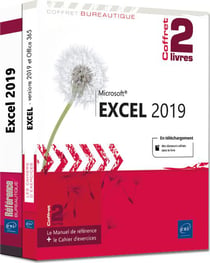 Excel 2019 - coffret de 2 livres : le manuel de référence + le cahier d'exercices
