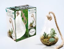 Terrarium à suspendre