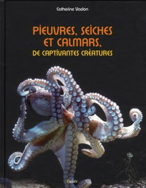 Pieuvres, seiches et calmars, de captivantes créatures
