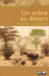 Un arbre au désert - acacia raddiana