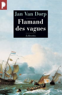 Flamand des vagues