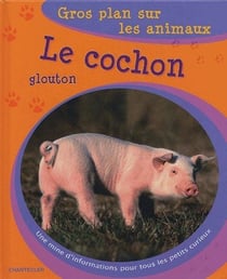 Gros plan sur les animaux 12. le cochon glouton