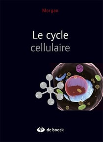 Le cycle cellulaire