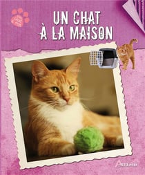 Un Chat A La Maison