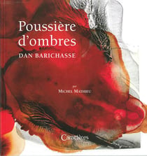 Poussières d'ombre - dan barichasse