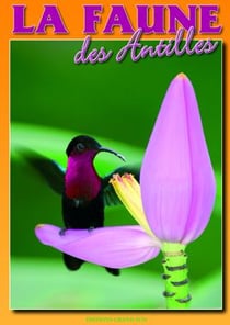 La faune des antilles