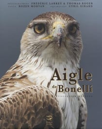 Aigle de Bonelli - méditerranéen méconnu