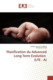 Planification du advanced long term evolution  (LTE - A)