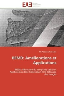 Bemd: ameliorations et applications - bemd: reduction du temps de calcul et applications dans l'inde