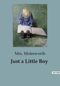 Just a Little Boy : The Adventures and Misunderstandings of a Little Boy