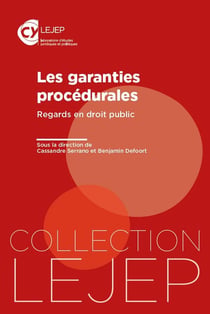 Les garanties procédurales : Regards en droit public