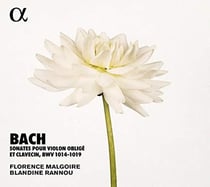 Sonates pour violon obligé et clavecin, bwv1014-1019