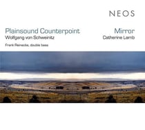 Plainsound counterpoint / mirror