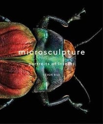 Microsculpture : portraits of insects