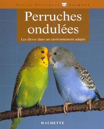 La perruche ondulee