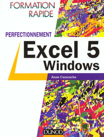 Excel 5 windows perfectionnement