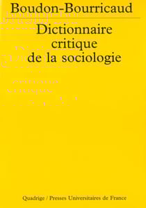 Le dictionnaire critique de la sociologie