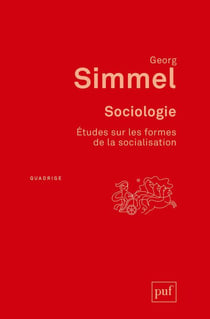 Sociologie - études sur les formes de la socialisation (2e édition)