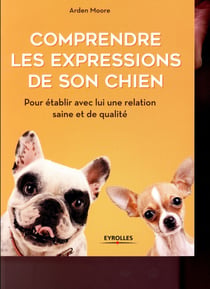 Comprendre les expressions de son chien