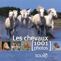 Les chevaux en 1001 photos