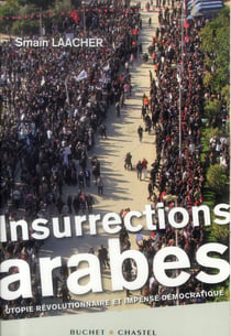 Insurrections arabes - utopie révolutionnaire et impensé démocratique