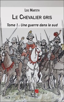Le chevalier gris Tome 1 : Une guerre dans le sud