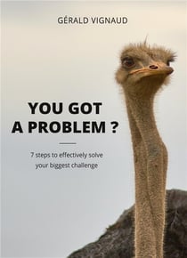 You got a problem ? 7 steps to effectively solve your biggest challenge