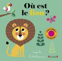 Cache-cache lion