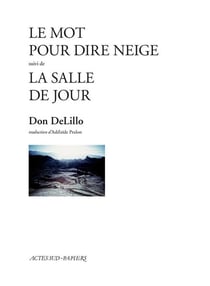 Le mot pour dire neige - la salle de jour