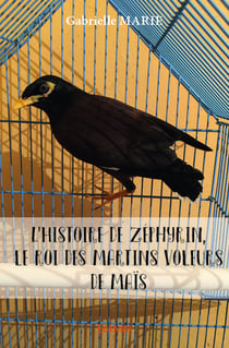 L'Histoire de Zéphyrin, le roi des martins voleurs de maïs