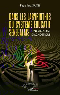 Dans les labyrinthes du système éducatif sénégalais : Une analyse diagnostique