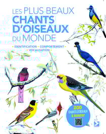 Les plus beaux chants d'oiseaux du monde - identification, comportement, vocalisation